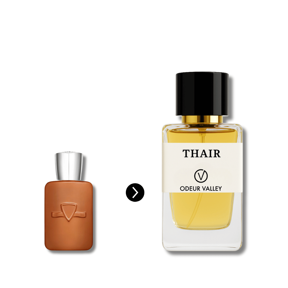 Buy online men’s perfume UAE – Odeur Valley inspired collection