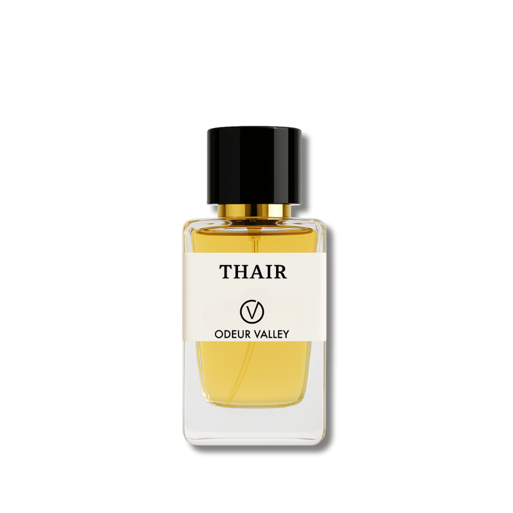 Luxury inspired men’s perfume UAE – long lasting evening fragrance