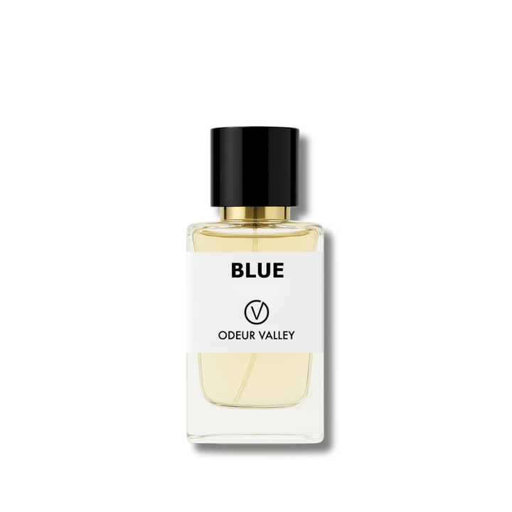 Luxury men’s perfume with grapefruit, ginger, and sandalwood notes – long lasting fragrance UAE