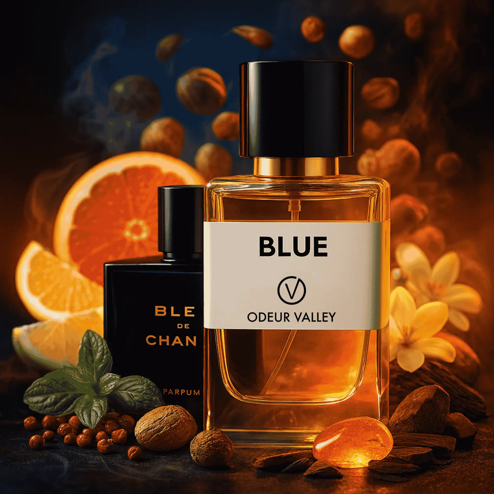 Modern men’s perfume with fresh citrus top notes and warm woody base – shop UAE