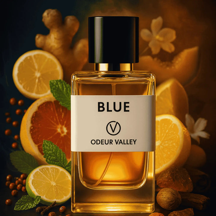 Modern men’s perfume with fresh citrus top notes and warm woody base – shop UAE